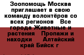 Зоопомощь.Москва приглашает в свою команду волонтёров со всех регионов - Все города Животные и растения » Пропажи и находки   . Алтайский край,Бийск г.